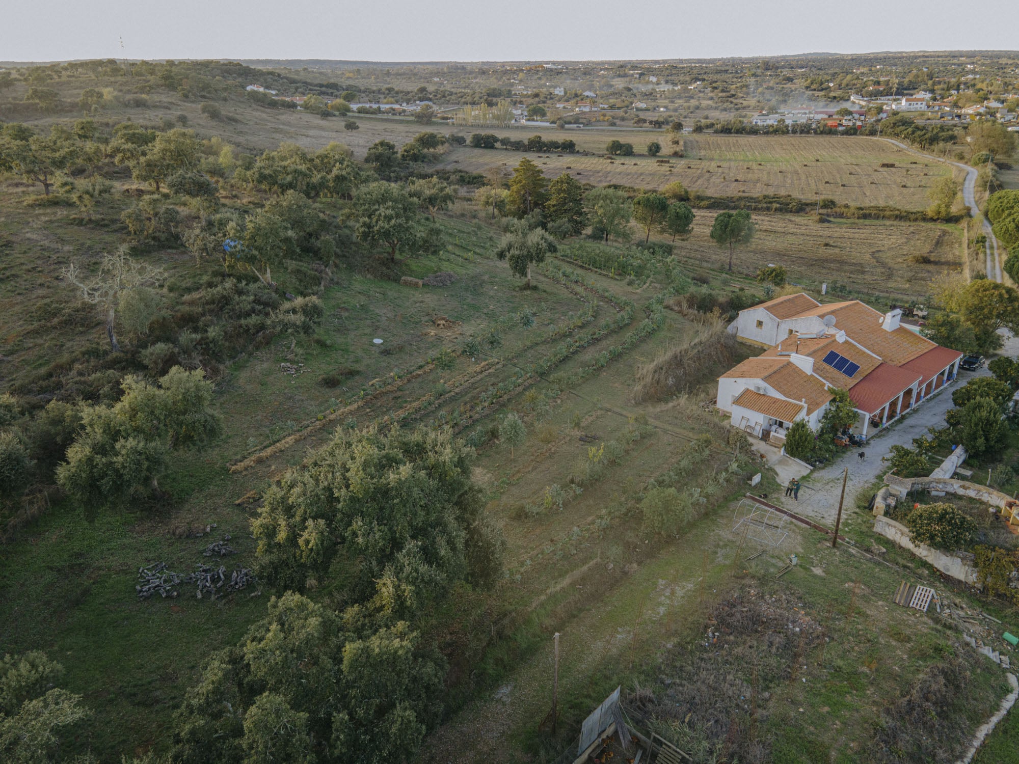 Vista aérea da quinta da Cinzeira, com casario de telhado vermelho rodeado por olival, campos cultivados e o povoado ao fundo