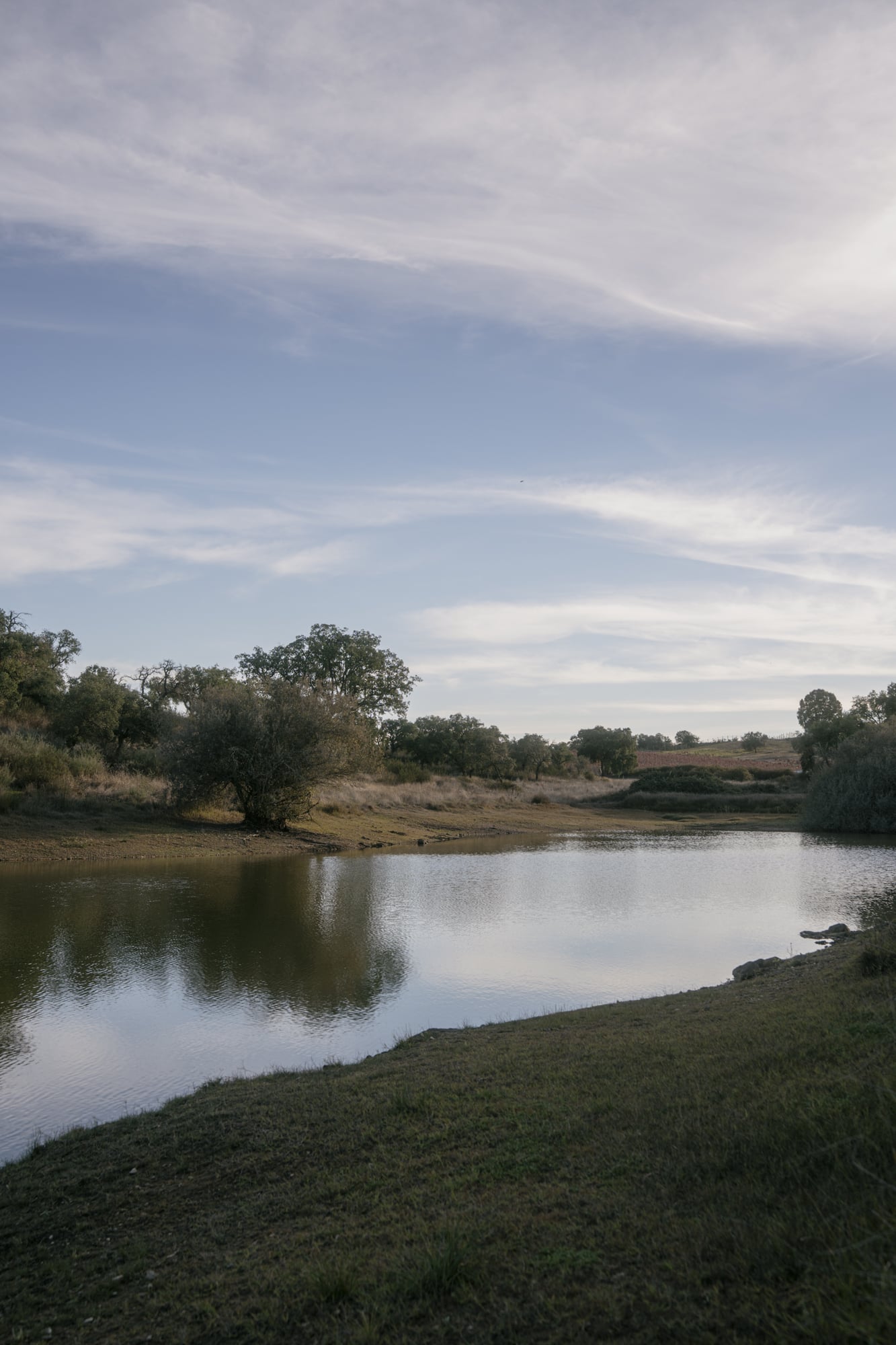 Pequena albufeira a refletir o céu, rodeada por sobreiros esparsos